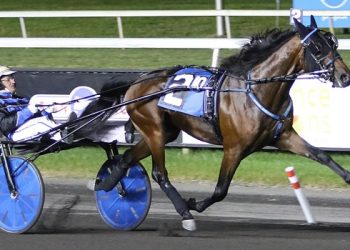 Branded By Lindy fastest in 2YO Crown colt trots
