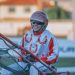Aussie harness racing stable snippets