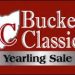 Results posted for Buckeye Classic Sale