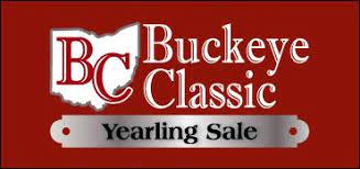 Results posted for Buckeye Classic Sale