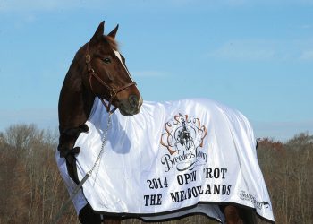 Ecurie D will be in the international limelight Saturday