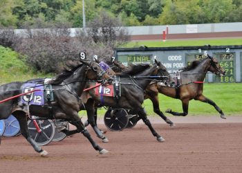 Bang Bang Boinga pops at 43-1