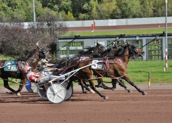 Bipbopnallie flies in to steal feature pace