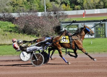 Buter continues hot streak with six winners