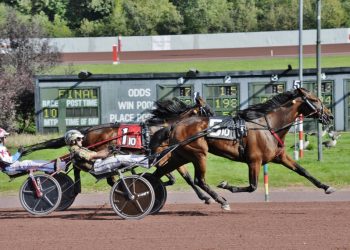 Chin Chin Hall continues dominance at The Downs