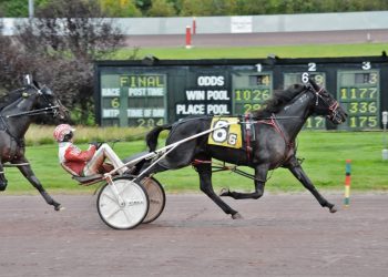 $100,000,000 mark reached by George Napolitano, Jr.