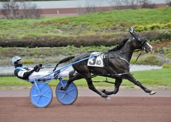 Lovely Donna flies by field in feature pace