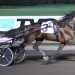 Red Mile in Grand Circuit spotlight Saturday