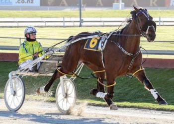 Deny Everything delivering for the Love family