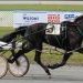 Horse Person's Day at Charlottetown 2 Will Filly Forty Seven be able to drop and pop