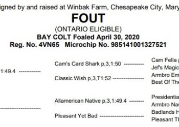 Ontario-bred pacer sale topper third day Lexington