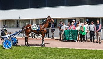 NZ Sires’ Stakes series update