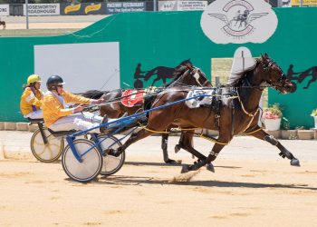 Shock Globe Derby success a story to warm the heart