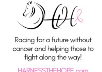 Charity Stud Fee Auction closes tonight