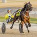 Changes bolster opportunity for juvenile trotters