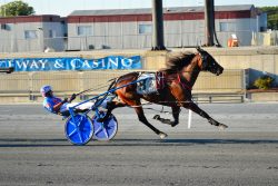 $48,000 Open Pace won by long shot