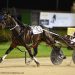 Sale graduates take harness racing stage by storm 2 Krug challenges (Group 2) feature