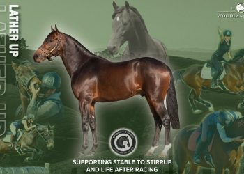 Lather Up and support Life After Racing