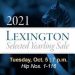 Catch the Lexington Sale LIVE final day