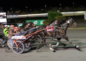 Queensland harness racing wrap