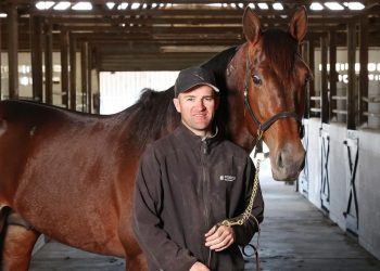 Horror draw for Grand Circuit King