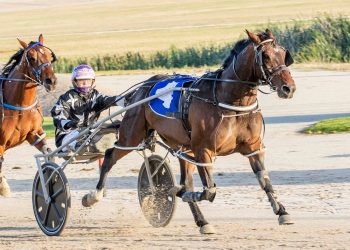 Phillips takes the reins for Grimson