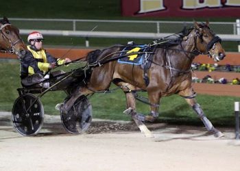 Bidding open in new eight Lot auction