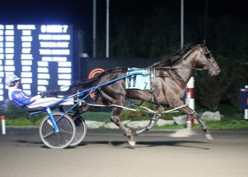 ‘Classy’ Metro champ set for International Stallion