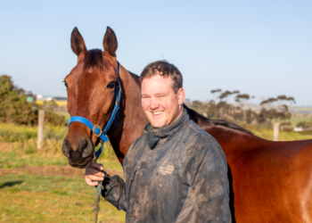 Dream draw gives mighty mare Cup favouritism