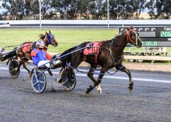 That’s 500 for Turnbull