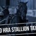 Stallion Tax rumours quashed 1 Stallion Tax rumours quashed