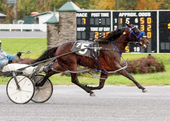 Clean sweep in Bunny Lake Pacing Series