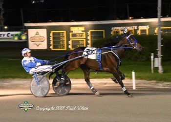 Mugshots Bro, All About Thechase take Batavia trots