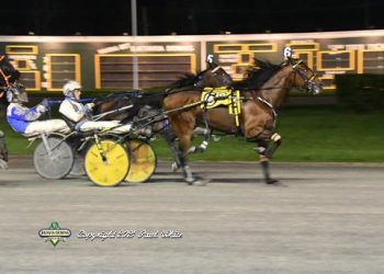 Fast features Trot Night at Batavia
