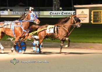 Lougazi no long camera shy