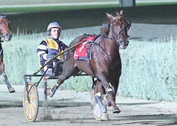 Four-time Group 1 winner retired after 100 starts