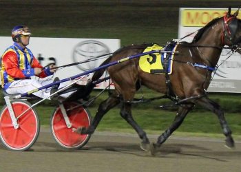 Exciting prospect for Hunter Valley horseman