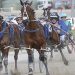 Two kings of harness racing return tonight