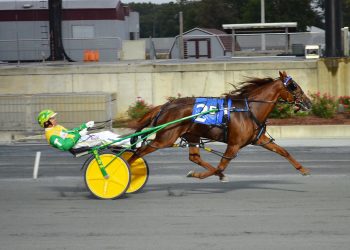 Unbeaten filly wins $100,000 DSBF Final