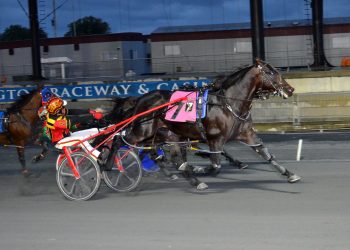Jason Lynch scores co-feature wins