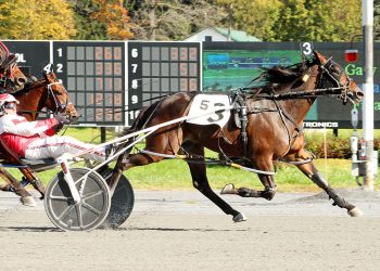 Brave trip for Kamal Memorial winner