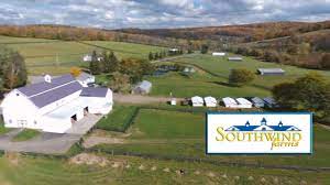 Southwind Farms yearling videos online
