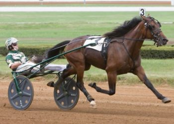 News Article - Australian Harness Racing