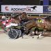 Sundees Son wins one of the strongest trotting races in some time