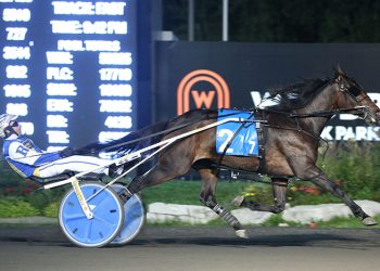 Sweet Soul David heads $480,000 Grassroots finals