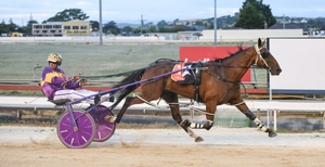 Well-bred youngster makes her debut