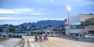 66yo trainer looking for first win