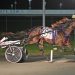 All-Age track record tied at Yonkers