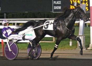 Branded By Lindy fastest in 2YO Crown colt trots