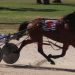 Track record at inaugural Gawler Carnival of Cups